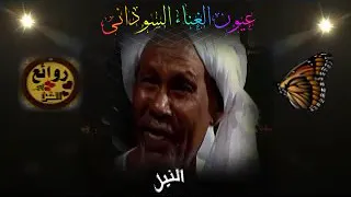 خضر بشير النيل 
