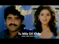 Download Lagu Tu Mile Dil Khile - Nagarjuna | Manisha Koirala | Criminal Movie | Kumar Sanu, Alka Yagnik, Chitra