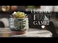 Best 6-Inch Planter That Keeps Your Plants Healthy Happy