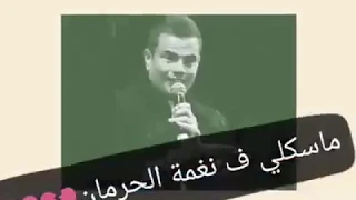 ماسكلي في نغمه الحرمان عمرو دياب حالات واتس اب 