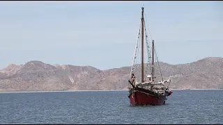 Salt & Tar: Ep.244- Further than We’ve Ever Gone