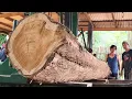 Lagu The process of processing teak wood from residents for joglo house beams in the village hall