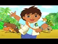 Go Diego Go DVD Advertisement