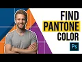 How To Find Pantone Color In Photoshop Easy Guide