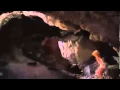 Mega Python VS Gatoroid - TRAILER