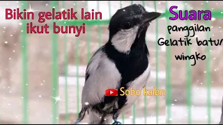 Download Pancingan glatik batu wingko biar gacor ngoceh terus MP3