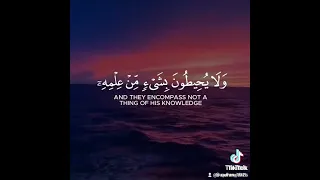 من يحب القرأن الكريم يضع ليك ومتابة الله يجزيك 