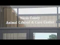 Macon Co Sheriff s Office will no longer manage animal control by the end of the month
