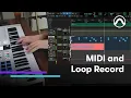 Make beats FAST in Pro Tools with powerful MIDI and loop record workflows