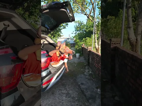 Cảm biến ô tô bằng 🐕#shorts