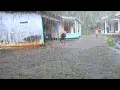 Download Lagu Onweersbuien en zware regenval in Indonesische heuvel dorpen | Regen voor angst en slapeloosheid,