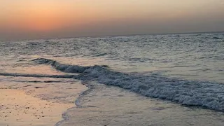 حمد السعيد   دافي الصوت  ميحد حمد دندنها