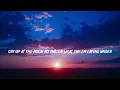 Wildflowers and Wild Horses  - Lainey Wilson  ( Lyrics/Letra )