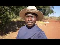 Download Lagu Estamos de Volta - Canal secundário José Lino Mz🇲🇿