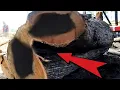 SHOCKING DISCOVERY!! Horrifying Scene Inside Hollow Log In Sawmill