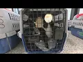 Shelter cats fly into Boise to find forever homes