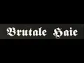Download Lagu Brutale Haie - Erinnerungen
