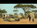 Download Lagu Family Safaris with Asilia Africa