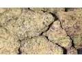 ANIMAL COOKIES STRAIN REVIEW
