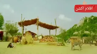 اقوا فلم اكشن وحماسي سينغهام في صراع النمر 