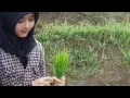 Download Lagu NASIB ORANG SIAPA YANG TAHU # DOEL SUMBANG 