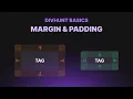 Practical Guide to Understanding Margins and Paddings Divhunt Basics