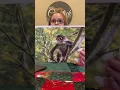 Lucy Capstick Deforestation Report