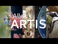 Download Lagu Alles ARTIS - aflevering 1: Voeden