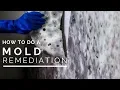 Download Lagu How To Do a Mold Remediation In Your Home