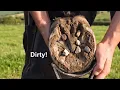 I trimmed a horse hoof