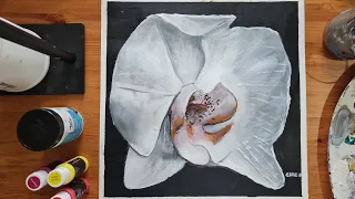 Orchid Painting Tutorial Using Acrylics Cheryl Navarro