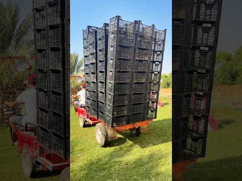 DIY great idea using plastic boxes #shorts