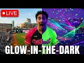LIVE GLOW IN THE DARK BASEBALL