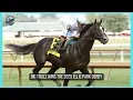 Justify colt BIG TRUZZ wins the 300 000 ELLIS PARK DERBY under Tyler Gaffalione