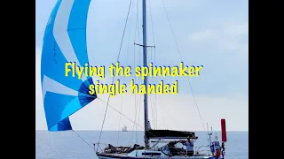 Buddy Boating to Polperro. Part 2 with dolphins