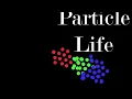 The Emergent World of Particle Life: Clusters, Interaction Matrices, and Digital Complexity