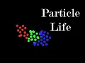 The Emergent World of Particle Life Clusters Interaction Matrices and Digital Complexity