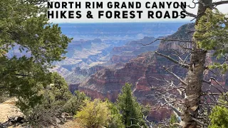 North Rim Grand Canyon Hikes and Roads