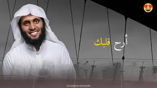 سوره البقره كامله بصوت الشيخ منصور السالمي بدون إعلانات 