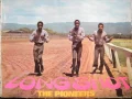 Download Lagu The Pioneers -  Long Shot (Full Album)