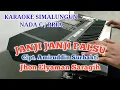 Download Lagu KARAOKE JANJI JANJI PALSU SIMALUNGUN NADA COWOK