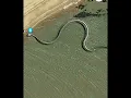 Download Lagu Titanoboa/The world biggest Snake skeleton/😱😱😱 #snake #facts #cobra #animals #nature