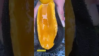 يسألونك عن الأهلة الحج سورة البقرة تلاوة خاشعة قران كريم مباشر اليوم المنشاوي الدوسري 