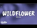 Download Lagu Billie Eilish – WILDFLOWER (Lyrics)