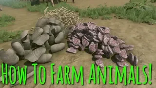 How To Farm Armadillo Shells Green Hell