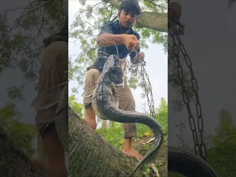 Best 2026 fish catching method