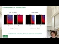 Analyzing Finite Neural Networks Can We Trust Neural Tangent Kernel Theory