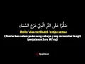 Download Lagu shollu ala nurilladzi arojassama  (Lirik \u0026 Terjemahan) - Ngajiselawat