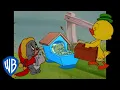 Download Lagu Tom \u0026 Jerry | Cutest Characters in Tom and Jerry  | Classic Cartoon Compilation | @wbkids​