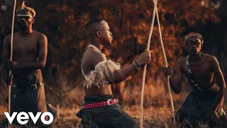 kabza de small kabza chant music video feat young stunna nkosazana daughter mthunzi u0026 murumba 